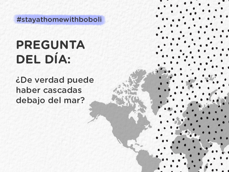 PREGUNTA BLOG