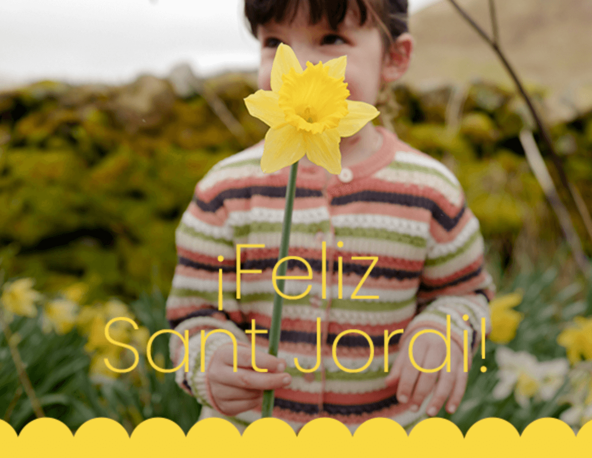 Feliz Día Internacional del Libro